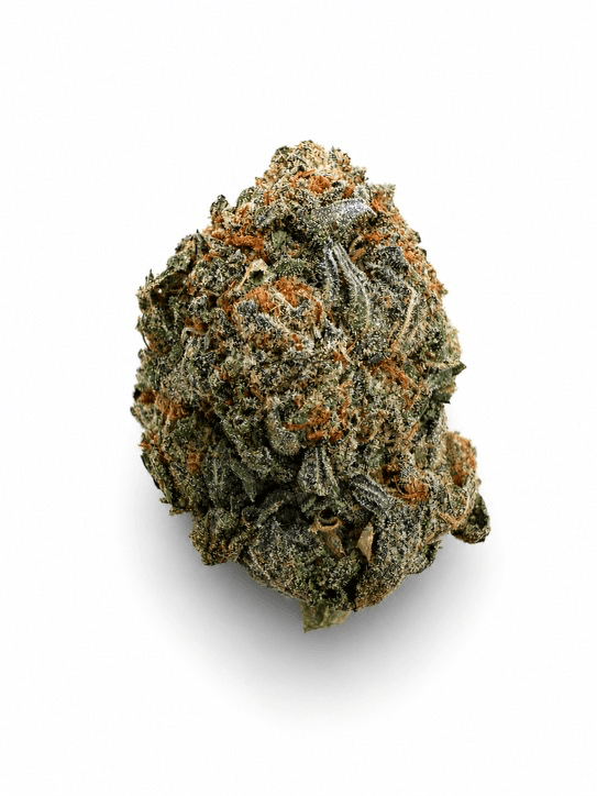 Gelato 47