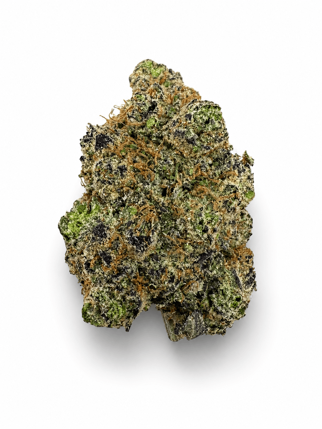 White Cherry Gelato
